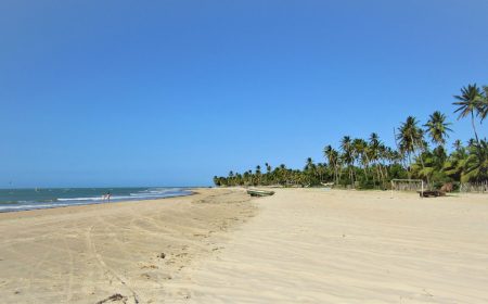 Praia com areia branca e coqueiros